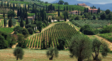 Vakanties Toscane Italië