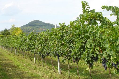 Agriturismo Alba Baone